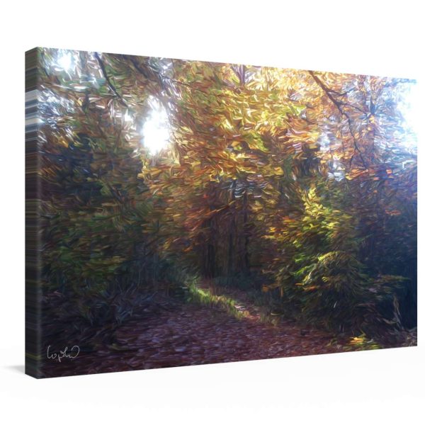Kraftbild: Magic Place - Kunstdruck Schn?ppchen